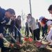 Veliaj e Manastirliu në Njësinë 9: Ne do ta çojmë Tiranën përpara