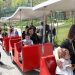 Veliaj surprizon fëmijët që zgjodhën të vizitojnë Kopshtin Zoologjik të Tiranës