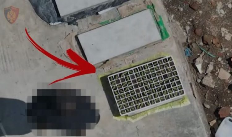 VIDEO/ Droni kap “mat” pronarin e banesës, policia i shkon në shtëpi, ja çfarë iu gjet
