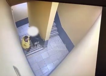 Ngacmoi seksualisht një të huaj dhe një të mitur, kapet 25-vjeçari