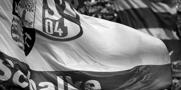 Gjermani/Tifozi rrëzohet nga tribuna dhe ndërron jetë