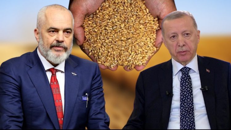 Marrëveshja për drithin nga Ukraina zgjatet me 2 muaj, Rama: Urime për Erdogan