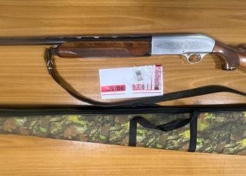 Po kalonte rrugën, 69-vjeçarja plagoset aksidentalisht me armë gjahu nga fqinji i saj