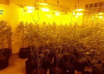 Goditet organizata e drogës në Spanjë, drejtohej nga 2 shqiptarë