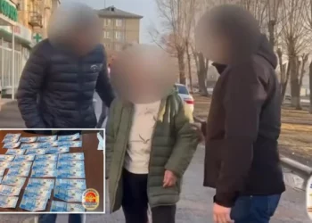 Donte të mbetej pronare e vetme e pasurisë, nëna punëson vrasës për të ekzekutuar fëmijët