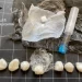 Shpërndante lëndë narkotike me makinë me qira, arrestohet shqiptari në Itali