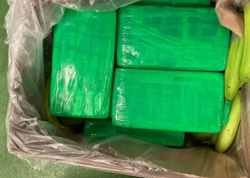 Policia italiane zbulon kokainën në arkat e bananeve, me vlerë mbi 880 milionë dollarë