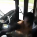 Nuk e ndaloi në stacionin e duhur, pasagjeri dhunon shoferin e autobusit (VIDEO)