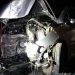 Itali, makina përplaset me pemën, humb jetën shqiptari