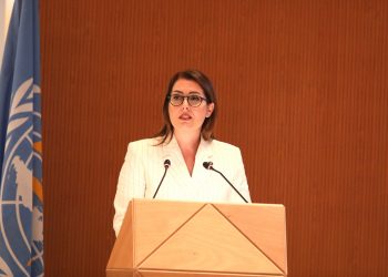 Manastirliu në Gjenevë: Kemi shëndetësinë si përparësi në axhendat politike