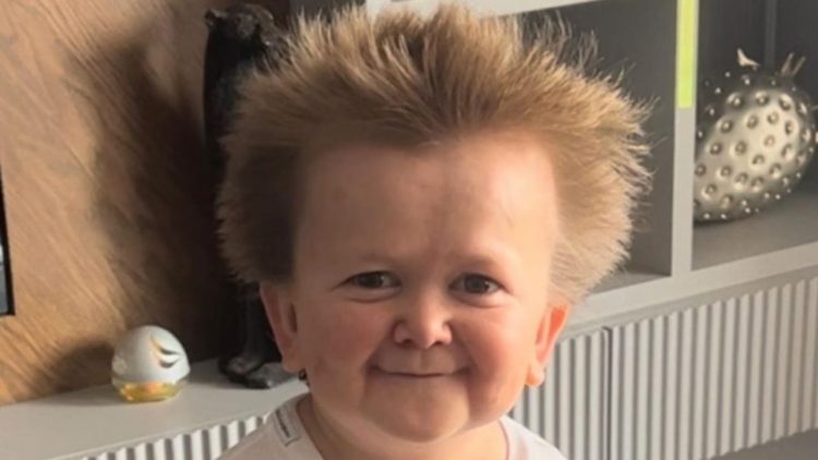 Kush është Hasbulla Magomedov dhe pse është bërë kaq i famshëm në rrjetet sociale?