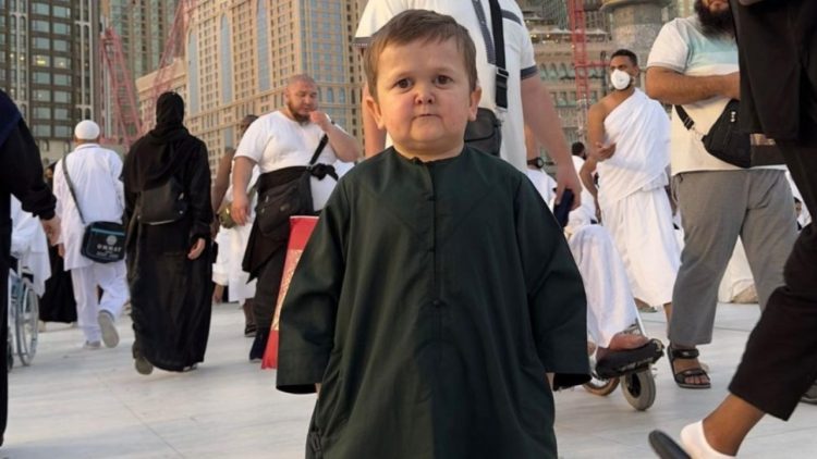 Arrestohet Hasbulla Magomedov, arsyeja