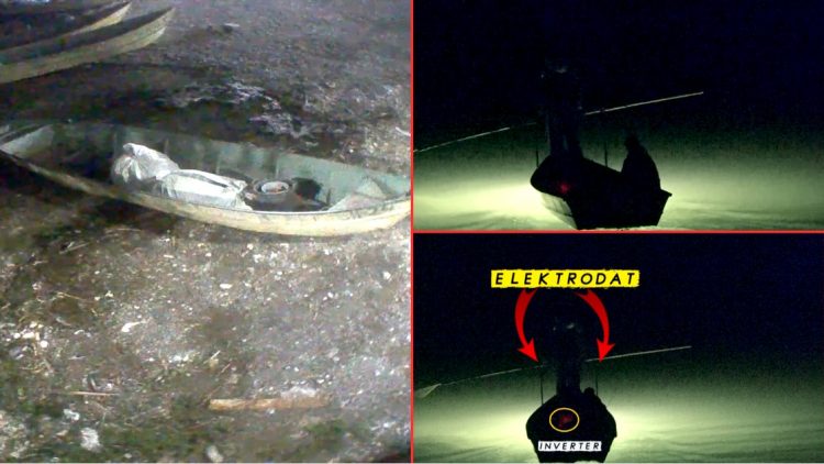 Liqeni, ‘fushë’ me xixëllonja: Peshkohet me korrent në zonë të mbrojtur