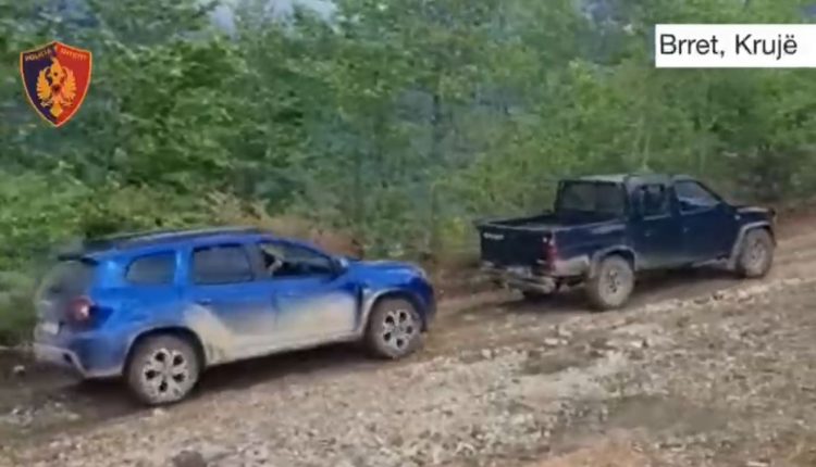 Humbën në pyll, policia ndihmon 3 turistët izraelitë në Krujë