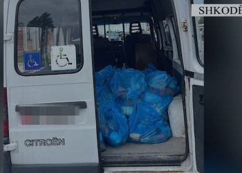 Po transportonin 50 qese me ushqime, në pranga 3 punonjës të bashkisë Shkodër