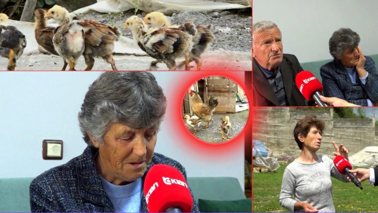 Godet gruan e xhaxhait me sfurk e zhvishet lakuriq para saj, konflikti për 2 zogj pule