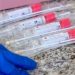Refuzojnë testin e Covid për fëmijën, prindërit “no vax” hetohen për tentativë vrasje