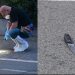 Vrau 33-vjeçarin shqiptar në Itali, deklarata e Petrit Gegës: Dëgjoj zëra, shoh djallin…