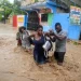 Përmbytje në Haiti/ Humbin jetën 42 persona, mijëra të tjerë të evakuuar
