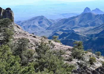 Po shëtisnin Parkun Kombëtar Big Bend në temperatura ekstreme, humbin jetën 2 persona