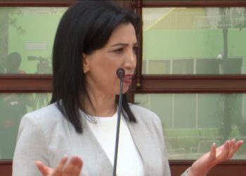 Protesta e studentëve të mjekësisë, Kushi: Fenomen shqetësues për Shqipërinë dhe BE-në