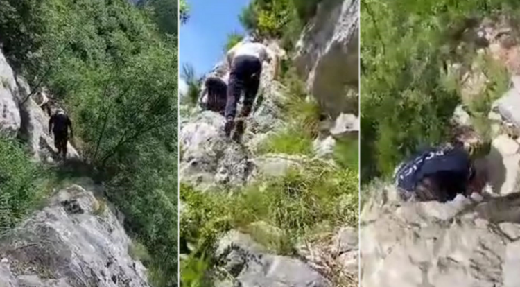 VIDEO/ Në një terren të thesipur, policia zbulon 5 raste të kultivimit të kanabisit