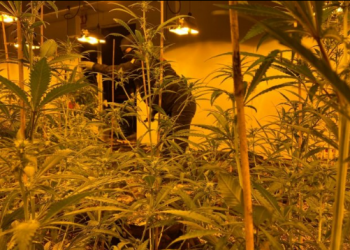 4 muaj brenda një “shtëpie bari”, arrestohen 3 të rinj shqiptarë në Spanjë