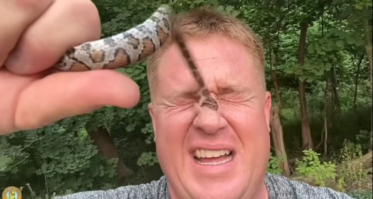 VIDEO/ Gjithçka për klikime, YouTuberi lë gjarprin ta kafshojë 50 herë
