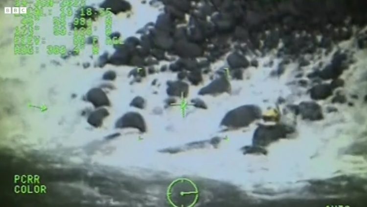Video/ Roja bregdetare noton në detin e trazuar për të shpëtuar qenin