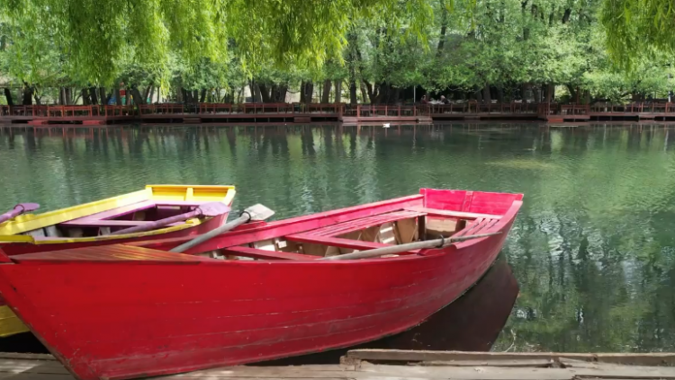 Rama poston pamjet mahnitëse të Drilonit