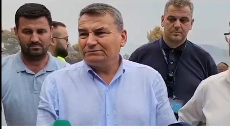 Zjarri në Krpas të Fierit, Çako: Situata nën kontroll, dëme masive në pyje