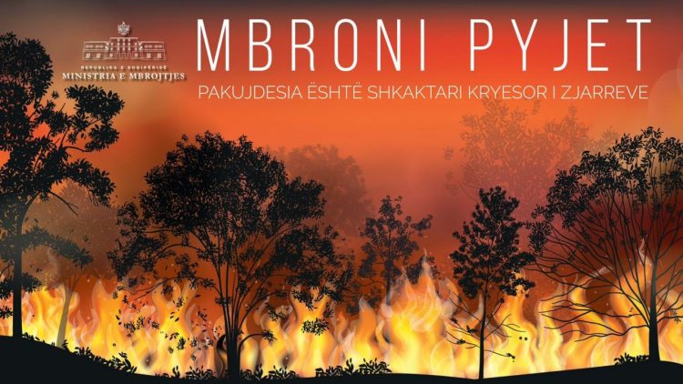 Temperatura të larta, Peleshi apel qytetarëve: Mbroni pyjet