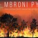 Temperatura të larta, Peleshi apel qytetarëve: Mbroni pyjet