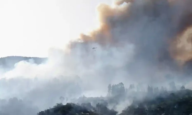 Zjarr masiv në një ishull të Spanjës, evakuohen 500 persona