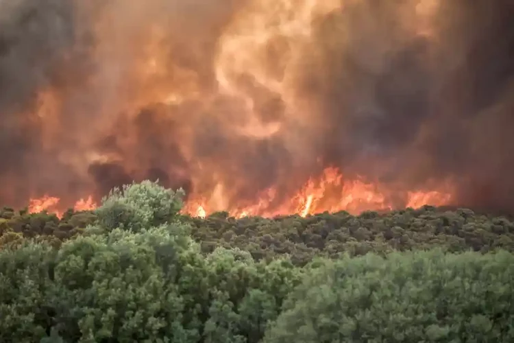 Temperaturat ekstreme në Evropë/ BE i vjen në ndihmë Greqisë, dërgon avionë zjarrfikës