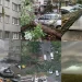 Pesë persona humbën jetën nga stuhia që përfshiu Ballkanin
