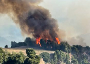 I nxehti ekstrem, zjarrfikësit në Greqi luftojnë me flakët prej disa ditësh