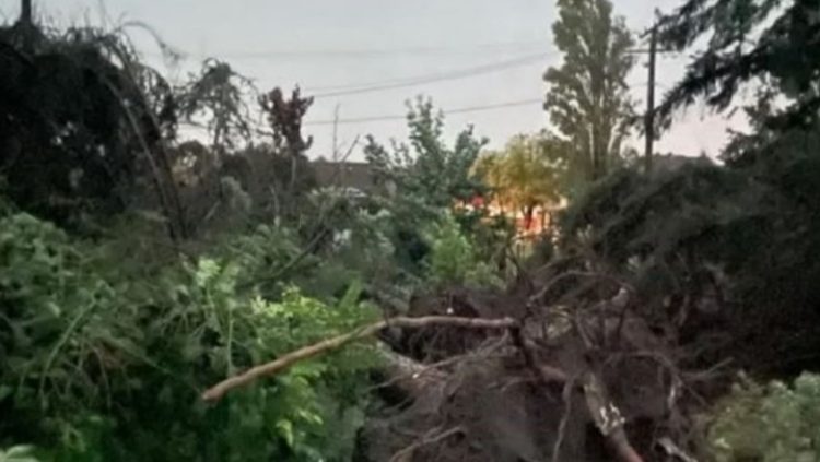 Stuhi vdekjeprurëse në Serbi, humb jetën një fëmijë dhe një grua