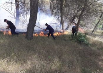 I nxehti ekstrem/ Riaktivizohet zjarri në Peshtan të Fierit