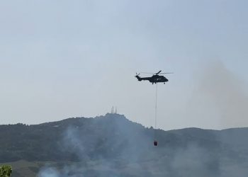 Zjarret në Peshtan të Fierit, autoritetet kërkojnë ndërhyrje nga ajri