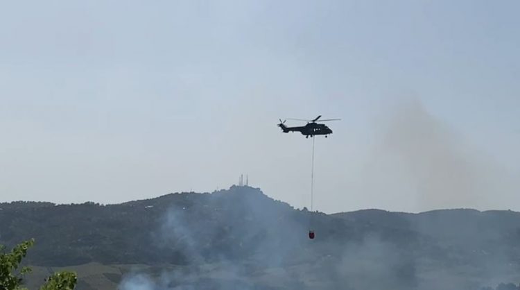 Zjarret në Peshtan të Fierit, autoritetet kërkojnë ndërhyrje nga ajri