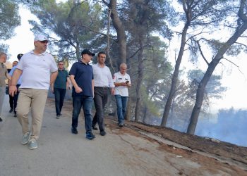Situata në Peshtan, Balla: Zjarrvënia vepër penale, ndëshkim ekzemplar për këdo