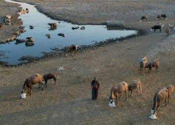 Temperaturat mund ta bëjnë botën pjesërisht të pabanueshme