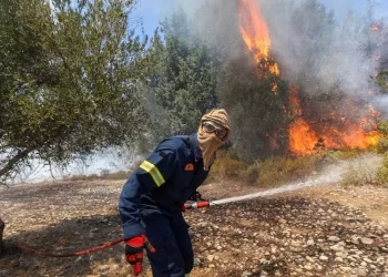 Zjarret vdekjeprurëse në botë kanë vrarë më shumë se 40 persona