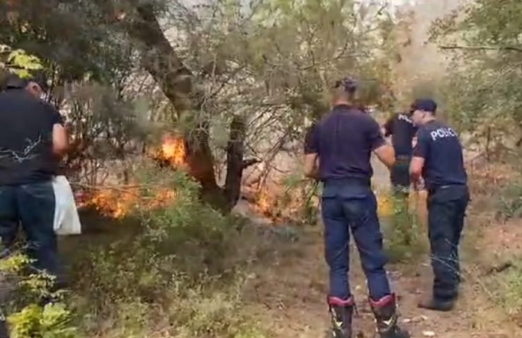 Zjarri në Fier, digjen rreth 15 hektarë me pisha e dushqe në Fier