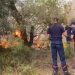 Zjarri në Fier, digjen rreth 15 hektarë me pisha e dushqe në Fier