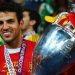 Fabregas tërhiqet nga futbolli i luajtur