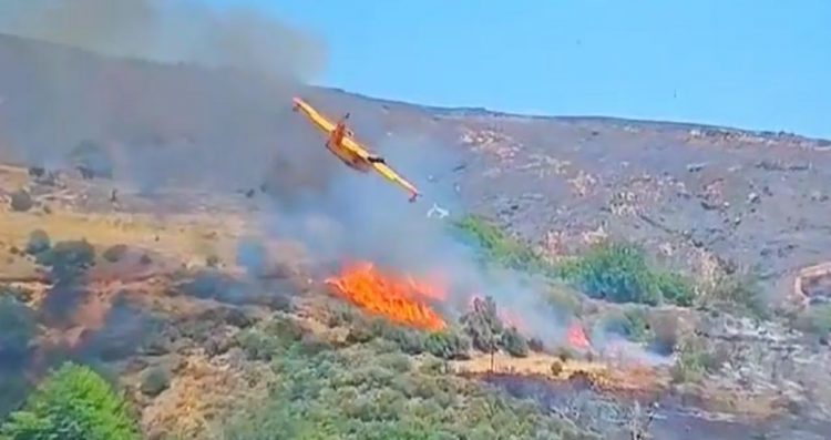 Po punonte për shuarjen e zjarreve, rrëzohet avioni në Greqi, vdesin dy pilotët (Video)