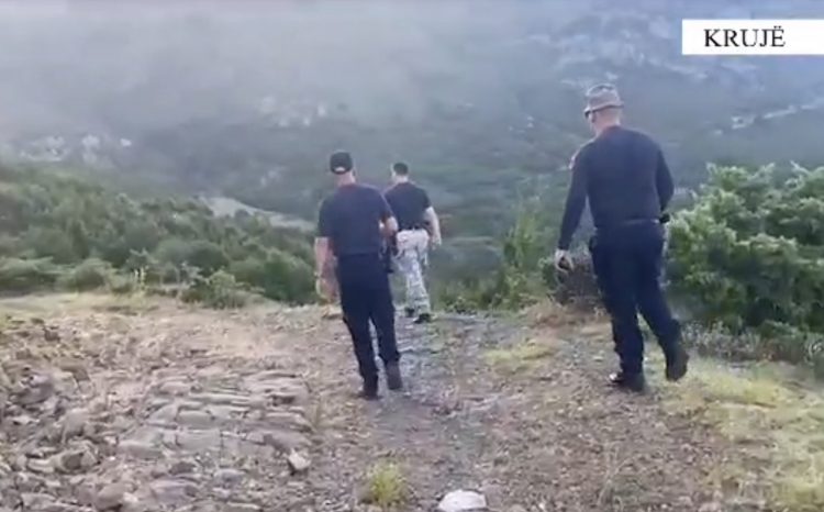 Krujë, asgjësohen 4 mijë e 941 bimë kanabis