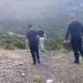 Krujë, asgjësohen 4 mijë e 941 bimë kanabis